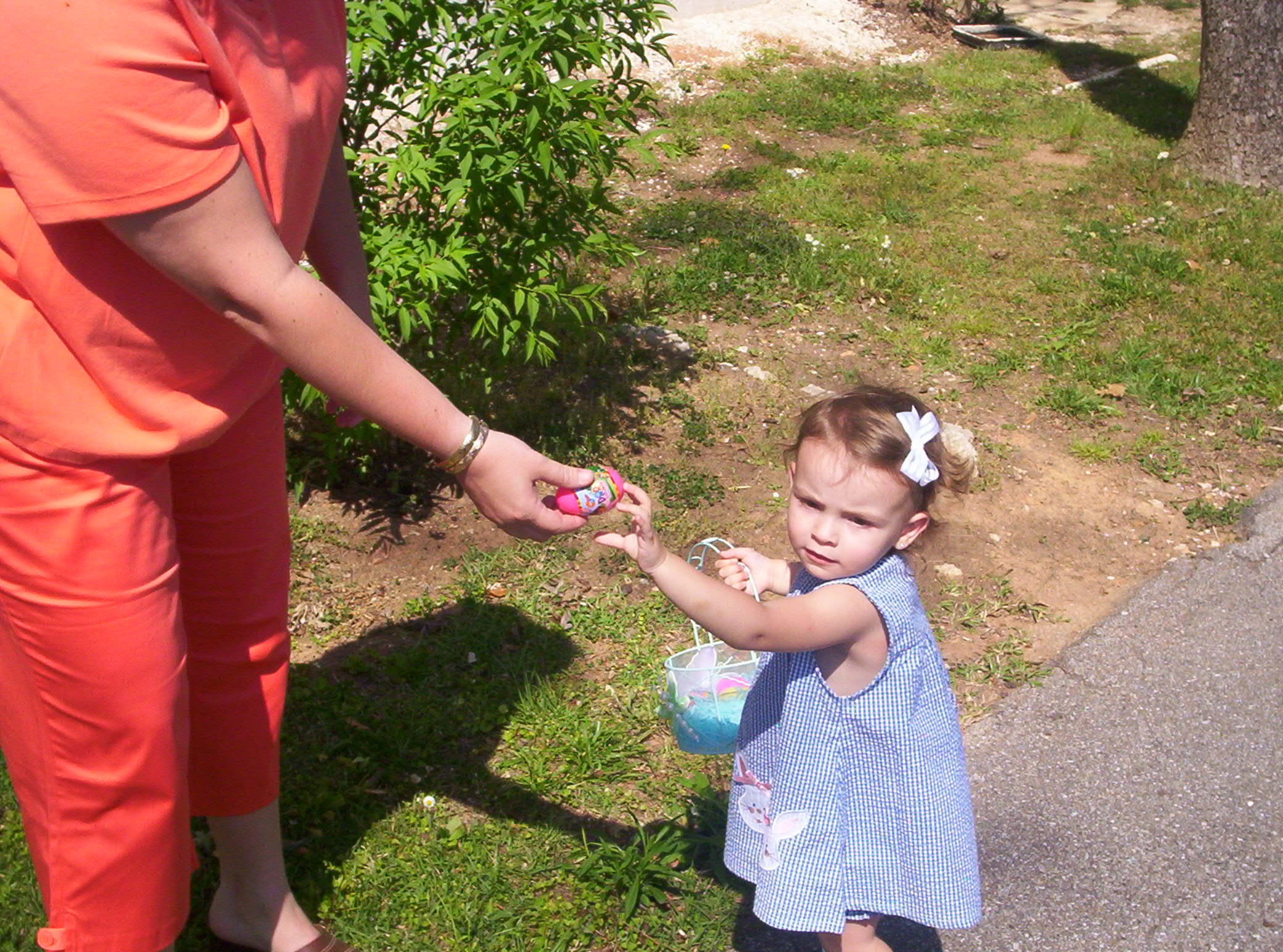 000_0214.jpg